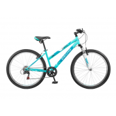 Mountain (MTB) Desna Bike 2600 V