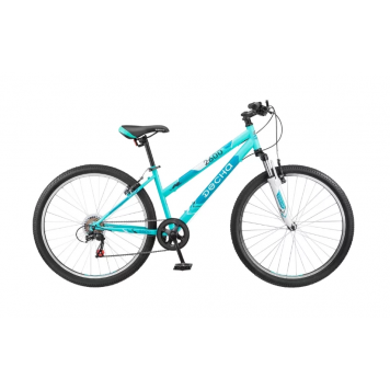 Mountain (MTB) Desna Bike 2600 V-1